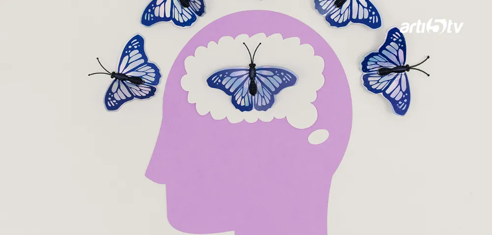 Beyin Aslında Orta Yaşta Zirveye Ulaşıyor