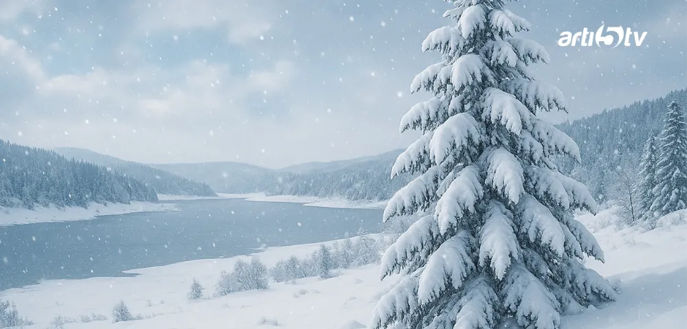 Türkiye resmen donacak!