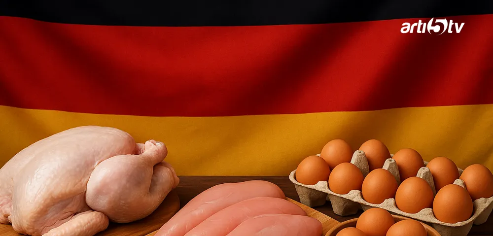 Almanya’da Kuş Gribi Alarmına Rağmen Tavuk Eti ve Yumurtada Tüketim Zirvede